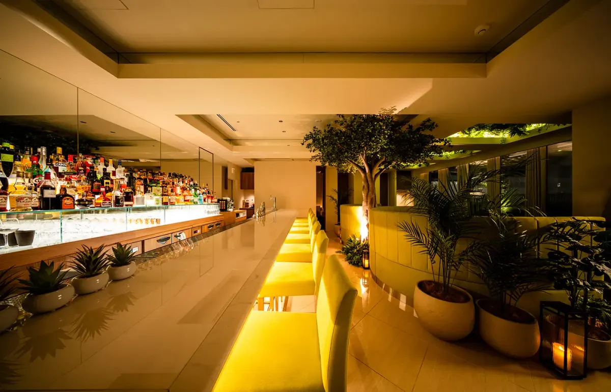 BAR THIRD PLACE GARDEN
