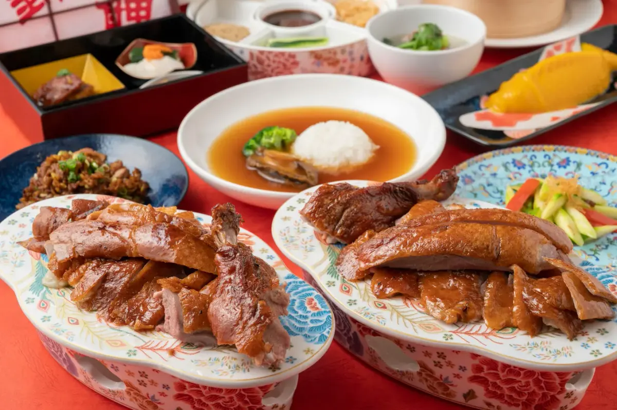 Food Salon 錦鯉