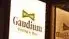 Gaudium New York DiningBar 柏